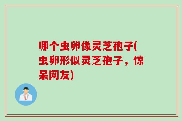 哪个虫卵像灵芝孢子(虫卵形似灵芝孢子，惊呆网友)