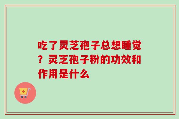 吃了灵芝孢子总想睡觉？灵芝孢子粉的功效和作用是什么