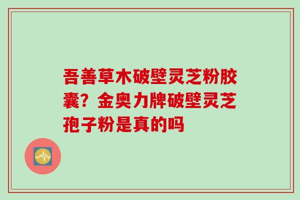 吾善草木破壁灵芝粉胶囊？金奥力牌破壁灵芝孢子粉是真的吗