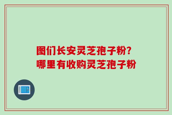 图们长安灵芝孢子粉？哪里有收购灵芝孢子粉