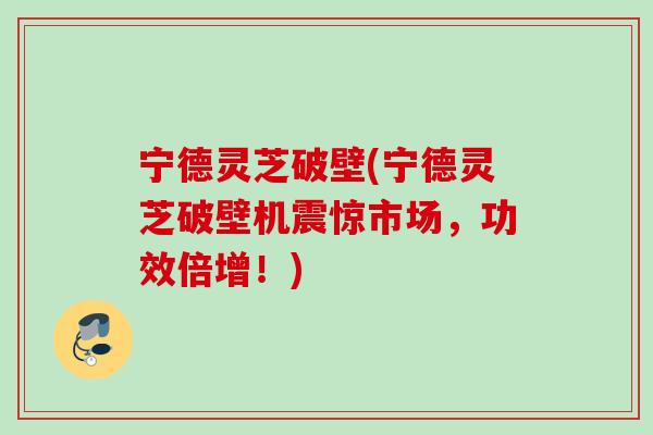宁德灵芝破壁(宁德灵芝破壁机震惊市场,功效倍增!)