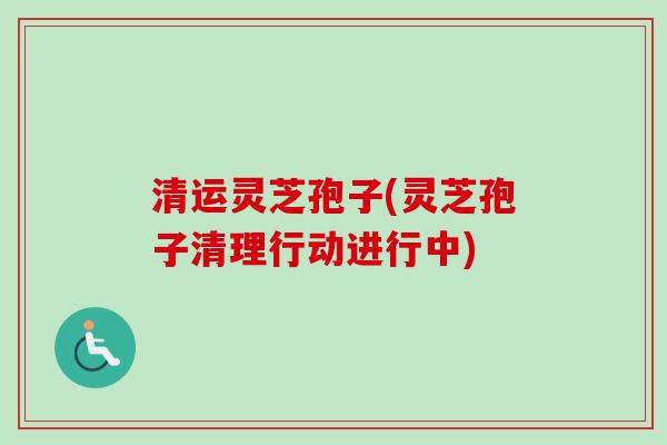 清运灵芝孢子(灵芝孢子清理行动进行中)