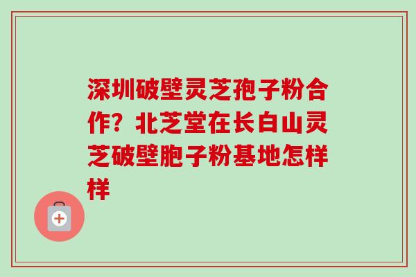 深圳破壁灵芝孢子粉合作？北芝堂在长白山灵芝破壁胞子粉基地怎样样