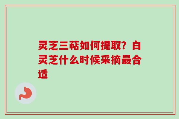 灵芝三萜如何提取？白灵芝什么时候采摘合适