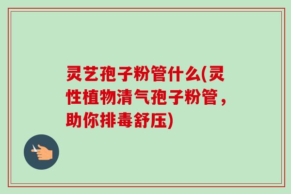 灵艺孢子粉管什么(灵性植物清气孢子粉管，助你排毒舒压)