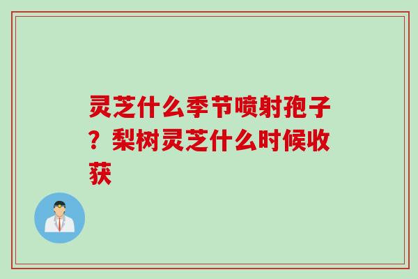 灵芝什么季节喷射孢子？梨树灵芝什么时候收获