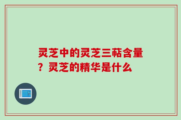 灵芝中的灵芝三萜含量？灵芝的精华是什么