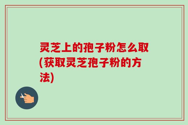 灵芝上的孢子粉怎么取(获取灵芝孢子粉的方法)