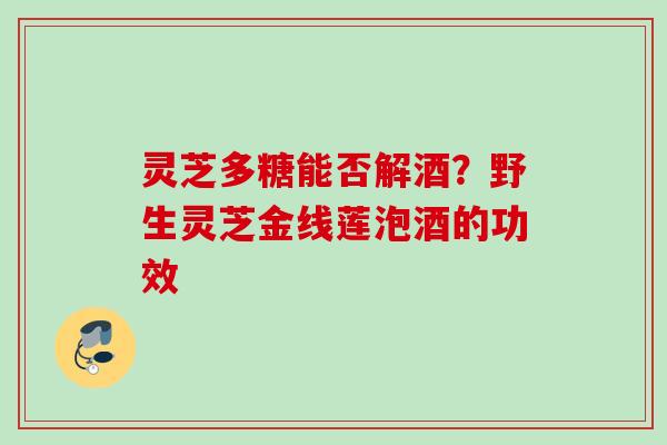 灵芝多糖能否解酒？野生灵芝金线莲泡酒的功效
