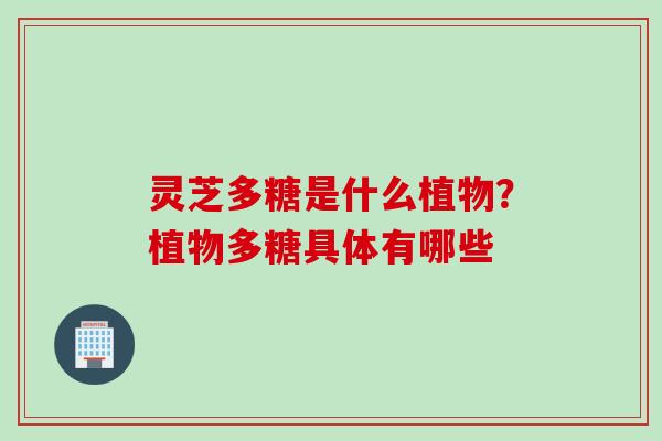 灵芝多糖是什么植物？植物多糖具体有哪些