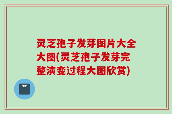 灵芝孢子发芽图片大全大图(灵芝孢子发芽完整演变过程大图欣赏)