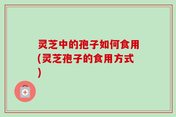 灵芝中的孢子如何食用(灵芝孢子的食用方式)