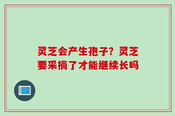 灵芝会产生孢子？灵芝要采摘了才能继续长吗