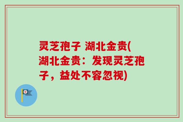 灵芝孢子 湖北金贵(湖北金贵:发现灵芝孢子,益处不容忽视) 灵芝孢子 湖北金贵(湖北金贵:发现灵芝孢子,益处不容忽视)
