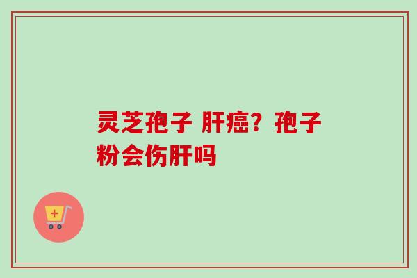 灵芝孢子 ？孢子粉会伤吗