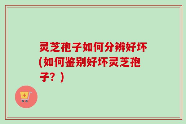 灵芝孢子如何分辨好坏(如何鉴别好坏灵芝孢子？)