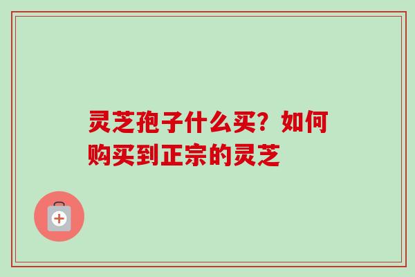 灵芝孢子什么买？如何购买到正宗的灵芝