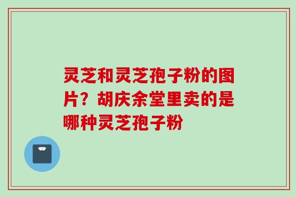 灵芝和灵芝孢子粉的图片？胡庆余堂里卖的是哪种灵芝孢子粉
