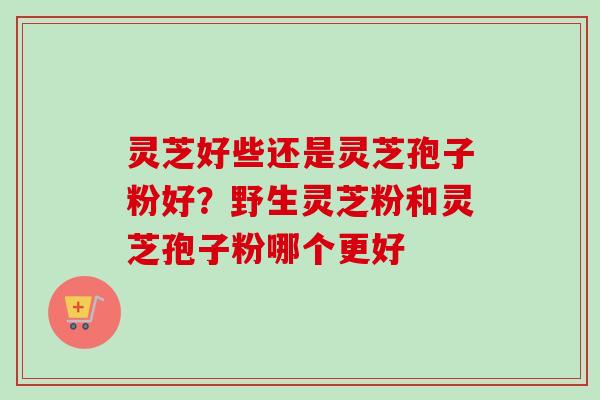 灵芝好些还是灵芝孢子粉好？野生灵芝粉和灵芝孢子粉哪个更好