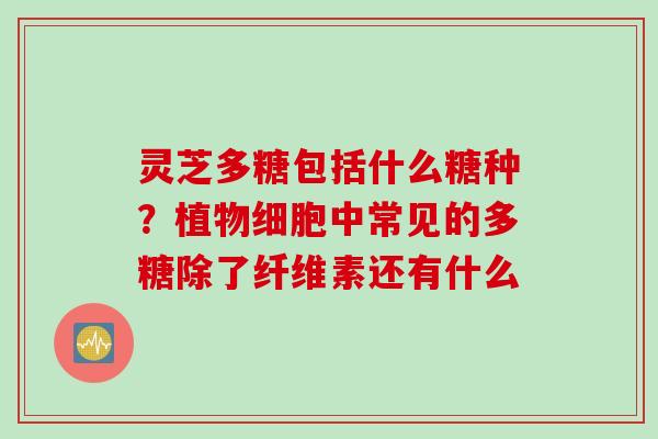 灵芝多糖包括什么糖种？植物细胞中常见的多糖除了纤维素还有什么