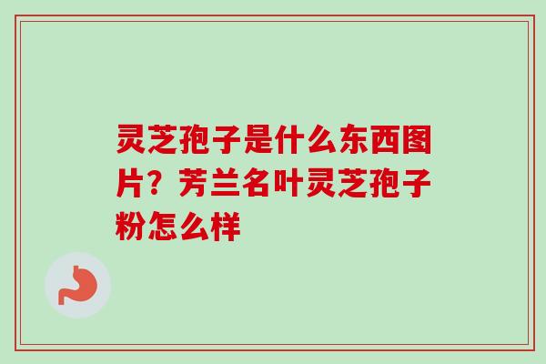 灵芝孢子是什么东西图片？芳兰名叶灵芝孢子粉怎么样