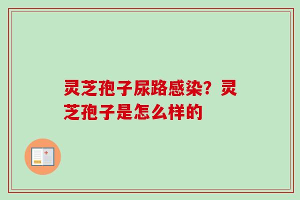 灵芝孢子尿路？灵芝孢子是怎么样的