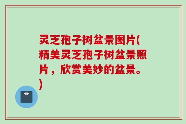 灵芝孢子树盆景图片(精美灵芝孢子树盆景照片，欣赏美妙的盆景。)