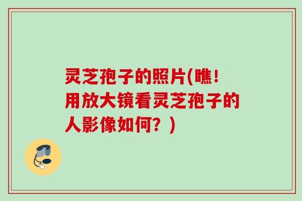 灵芝孢子的照片(瞧！用放大镜看灵芝孢子的人影像如何？)