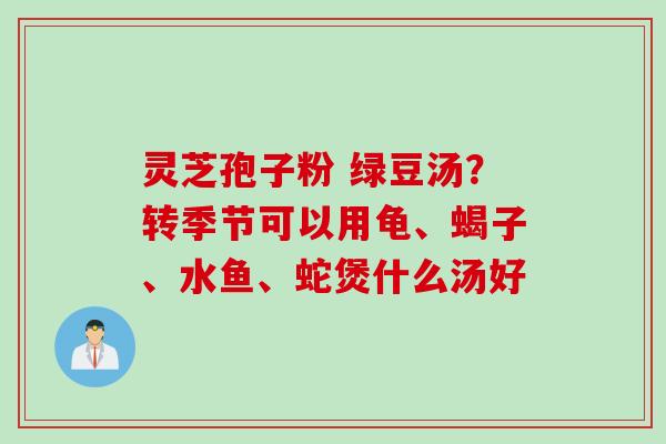 灵芝孢子粉 绿豆汤？转季节可以用龟、蝎子、水鱼、蛇煲什么汤好