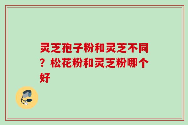 灵芝孢子粉和灵芝不同？松花粉和灵芝粉哪个好