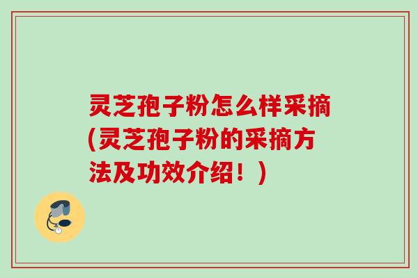 灵芝孢子粉怎么样采摘(灵芝孢子粉的采摘方法及功效介绍！)