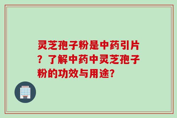 灵芝孢子粉是引片？了解中灵芝孢子粉的功效与用途？