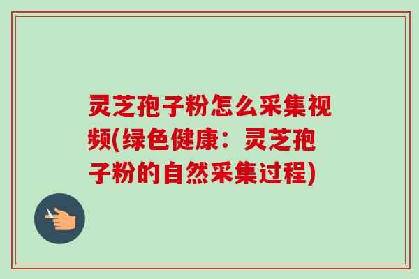 灵芝孢子粉怎么采集视频(绿色健康：灵芝孢子粉的自然采集过程)