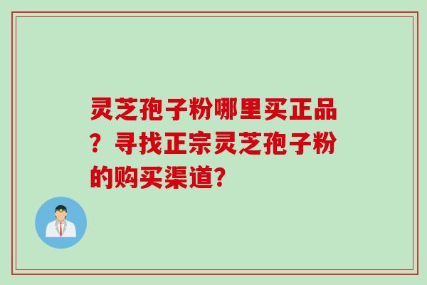 灵芝孢子粉哪里买正品？寻找正宗灵芝孢子粉的购买渠道？