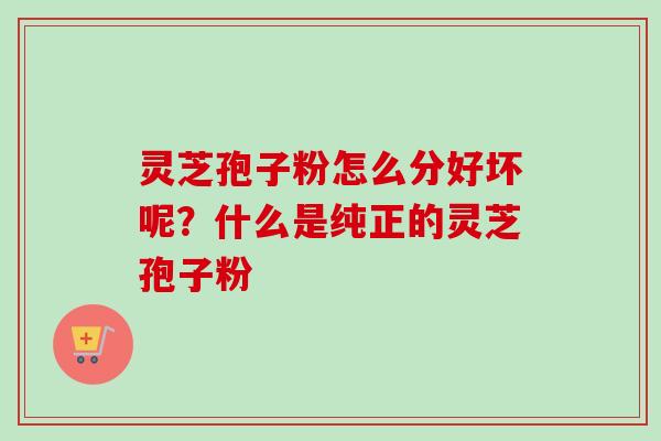 灵芝孢子粉怎么分好坏呢？什么是纯正的灵芝孢子粉