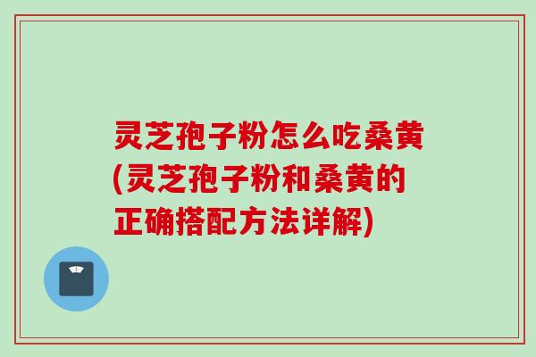 灵芝孢子粉怎么吃桑黄(灵芝孢子粉和桑黄的正确搭配方法详解)