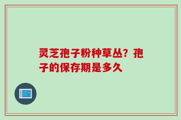 灵芝孢子粉种草丛？孢子的保存期是多久
