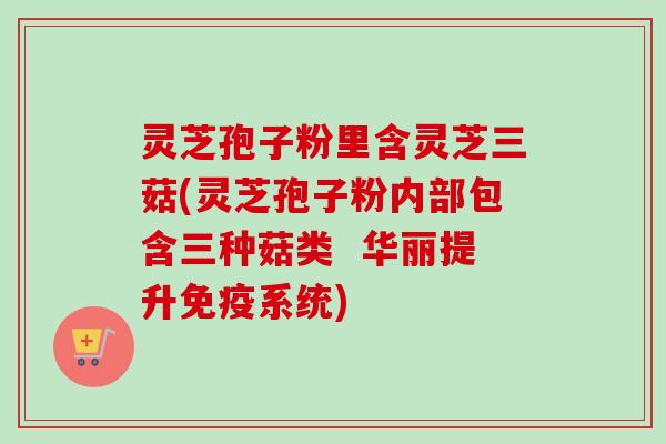 灵芝孢子粉里含灵芝三菇(灵芝孢子粉内部包含三种菇类  华丽提升免疫系统)