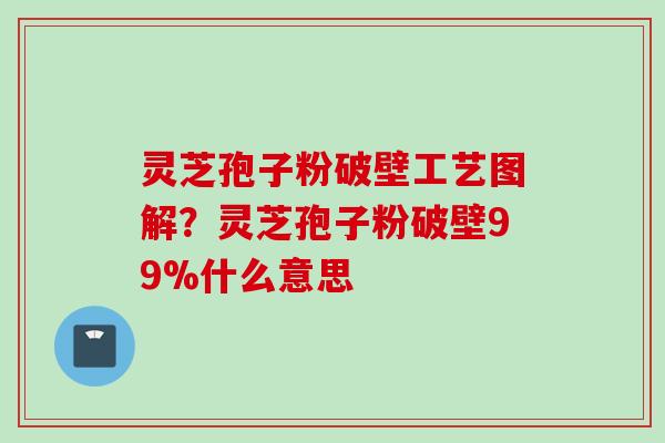 灵芝孢子粉破壁工艺图解？灵芝孢子粉破壁99%什么意思