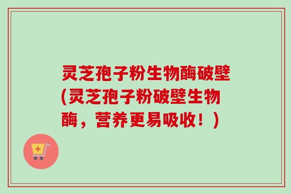 灵芝孢子粉生物酶破壁(灵芝孢子粉破壁生物酶，营养更易吸收！)