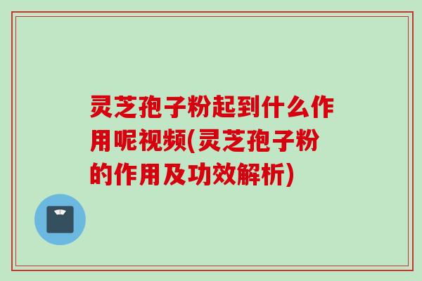 灵芝孢子粉起到什么作用呢视频(灵芝孢子粉的作用及功效解析)