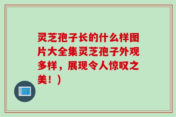 灵芝孢子长的什么样图片大全集灵芝孢子外观多样，展现令人惊叹之美！)
