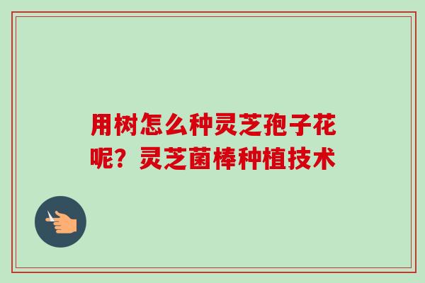 用树怎么种灵芝孢子花呢？灵芝菌棒种植技术