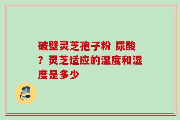 破壁灵芝孢子粉 尿酸？灵芝适应的湿度和湿度是多少