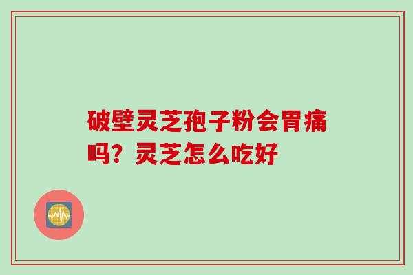 破壁灵芝孢子粉会胃痛吗？灵芝怎么吃好