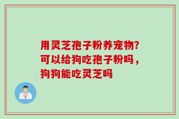 用灵芝孢子粉养宠物？可以给狗吃孢子粉吗，狗狗能吃灵芝吗