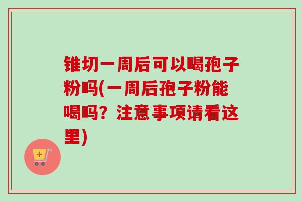 锥切一周后可以喝孢子粉吗(一周后孢子粉能喝吗？注意事项请看这里)