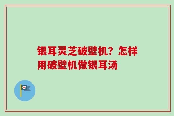 银耳灵芝破壁机？怎样用破壁机做银耳汤