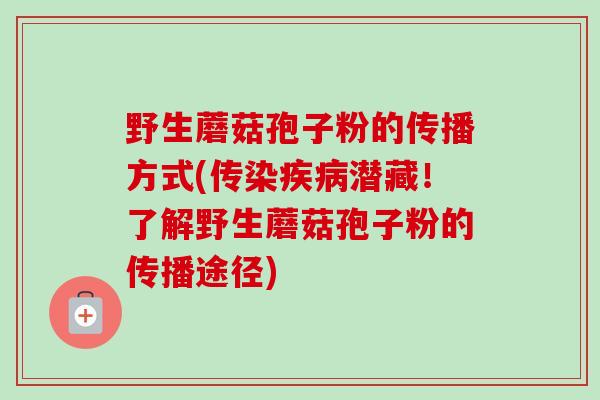 野生蘑菇孢子粉的传播方式(传染潜藏！了解野生蘑菇孢子粉的传播途径)