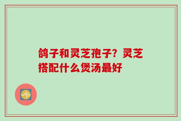 鸽子和灵芝孢子？灵芝搭配什么煲汤好